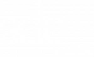 Logo Académie du Coaching blanc